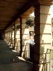 Hanging baskets at the Piece Hall